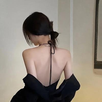 极地大冒险